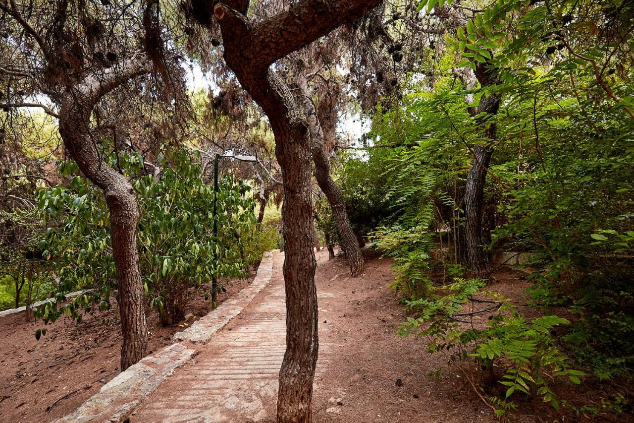 Myth2 - Hike Around Ancient Panathenaic Stadium Near Metro With View Of Big Park Apartment Ngoại thất bức ảnh