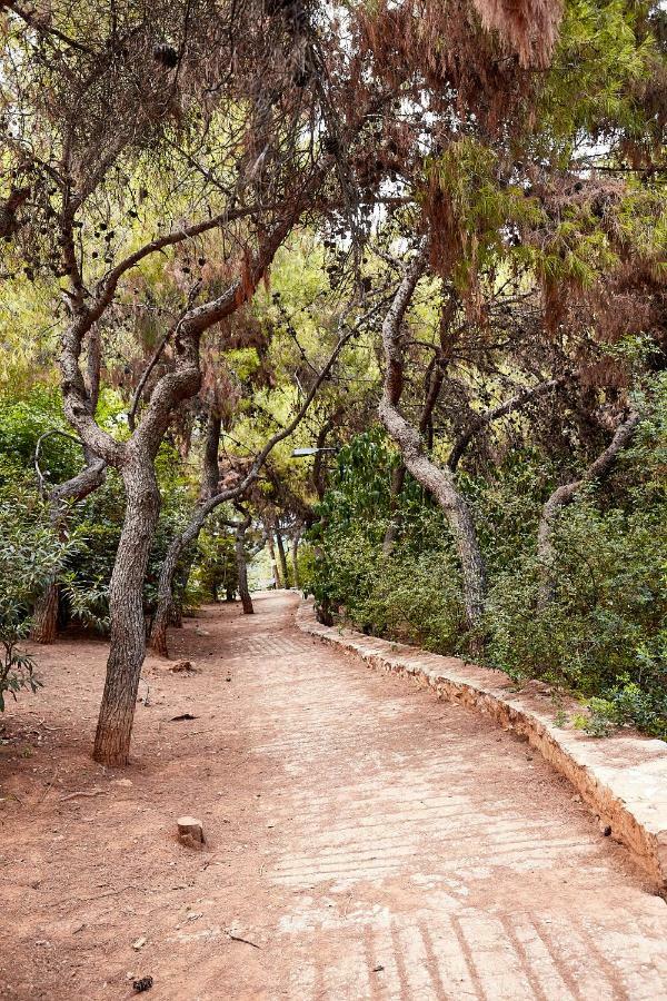Myth2 - Hike Around Ancient Panathenaic Stadium Near Metro With View Of Big Park Apartment Ngoại thất bức ảnh